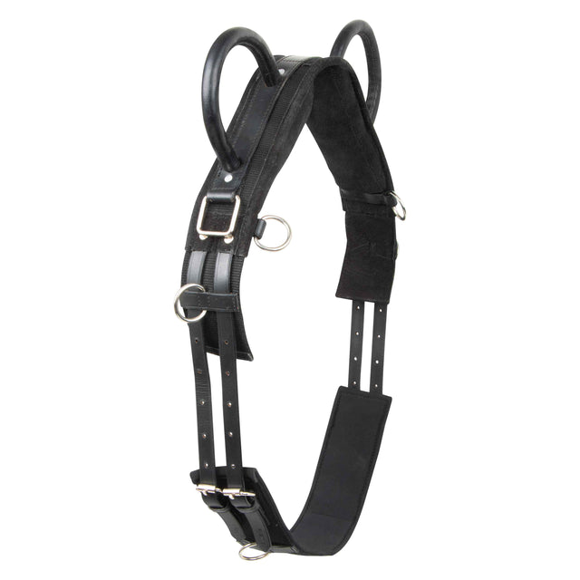 Imperial Riding Vidal Lunging Girth #colour_black