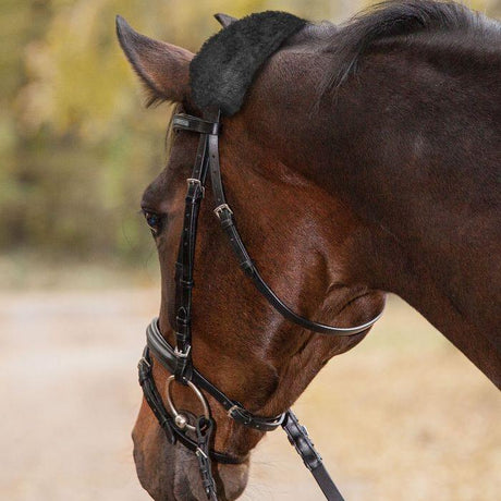 Waldhausen Real Lambskin Noseband - or Headpiece-Cushioning #colour_black