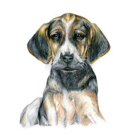 Kevin Milner Countryside Cards #style_hound-puppy-art