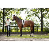 HKM Lunge Line -Catherine- #colour_green-midblue