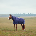 Weatherbeeta Comfitec Tyro 220G Combo Neck Turnout #colour_navy-charcoal