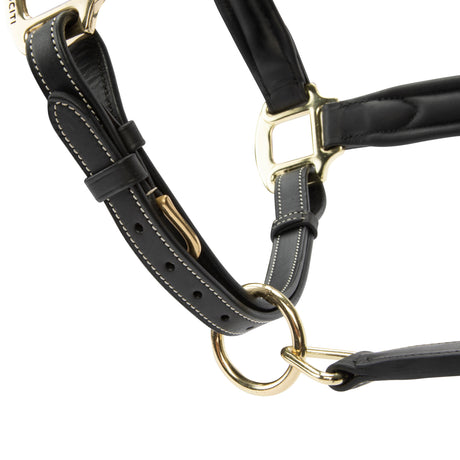 Shires Velociti Lusso Lorca Leather Headcollar #colour_black