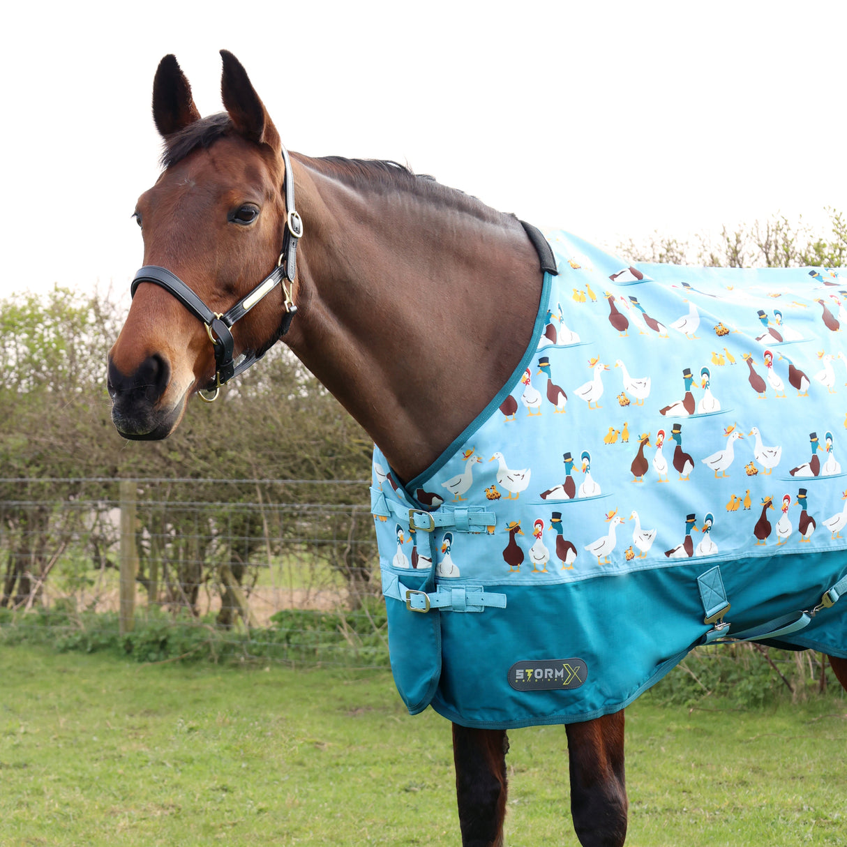 StormX Original Ay Up Duck 0g Turnout Rug