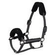 HV Polo Teddy Headcollar #colour_cloud-grey