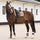 HV Polo Essential Dressage Saddle Pad #colour_straw