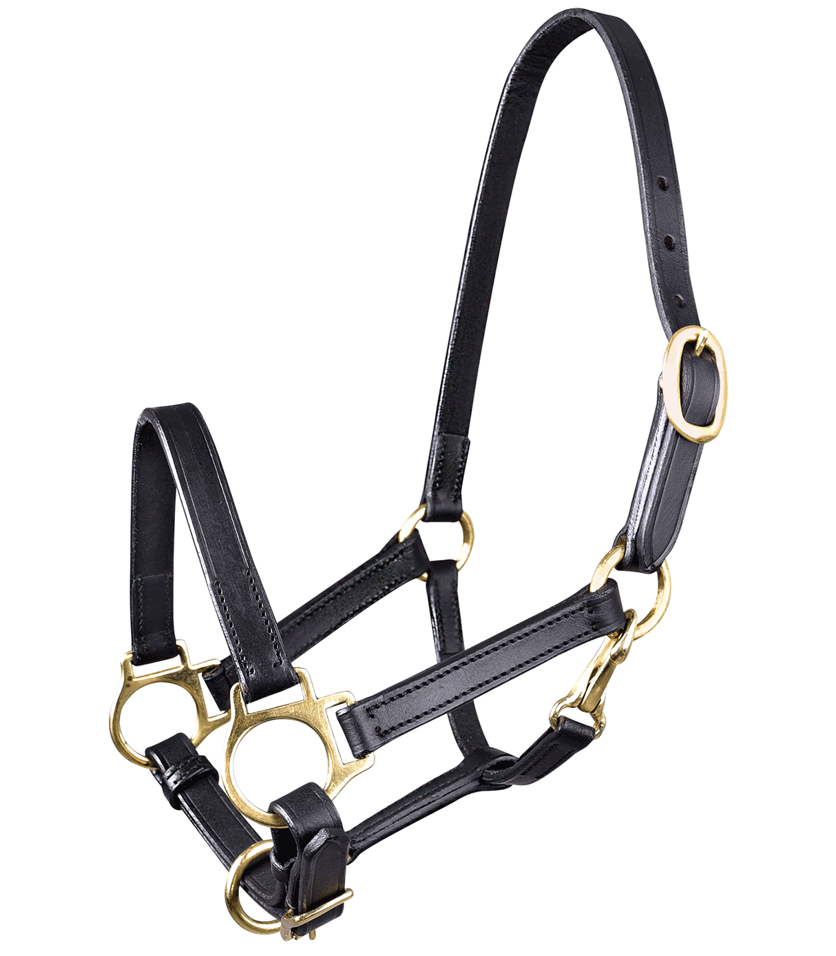 STAR Leather Halter #colour_black