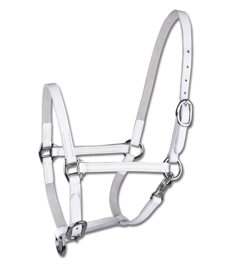 STAR Leather Foal Halter #colour_white