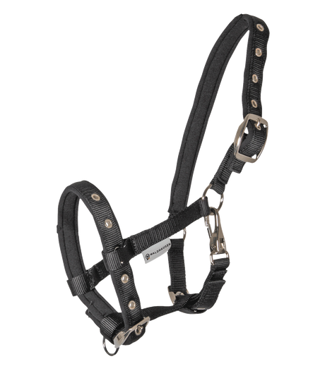 Waldhausen Halter Comfort for Foals #colour_black