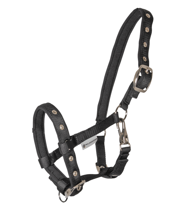 Waldhausen Halter Comfort for Foals #colour_black