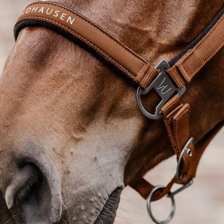 Waldhausen Athletic Halter #colour_cinnamon