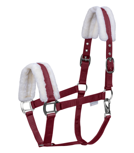 Waldhausen First Halter #colour_bordeaux