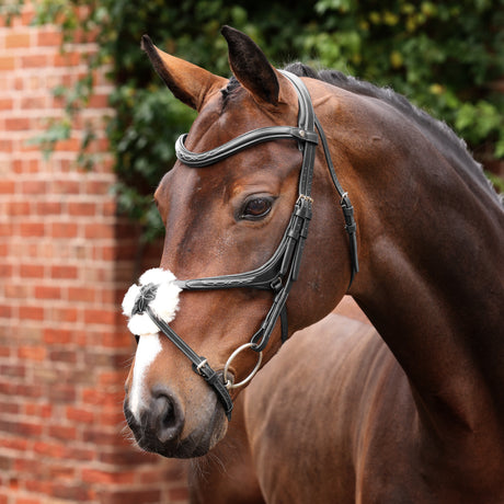 Shires Velociti LUSSO Opus 180M Grackle Bridle #colour_black