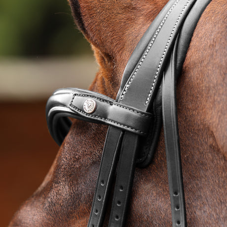 Shires Velociti LUSSO Opus 180M Grackle Bridle #colour_black