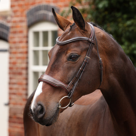 Shires Velociti LUSSO Opus 180M Dressage Cavesson Bridle #colour_havana
