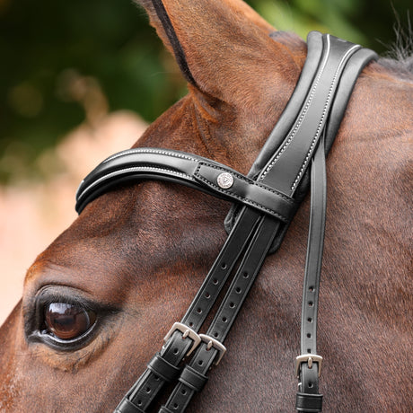 Shires Velociti LUSSO Opus 180M Dressage Flash Bridle #colour_black