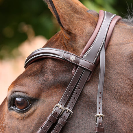 Shires Velociti LUSSO Opus 180M Dressage Flash Bridle #colour_havana