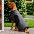 Horseware Ireland LED Red Light Therapy Pet Coat #colour_black-black