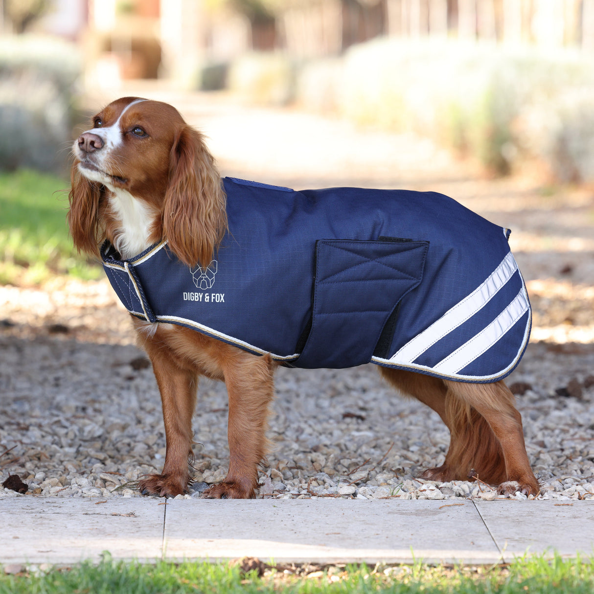 Shires Digby &amp; Fox Wasserdichter Hundemantel 