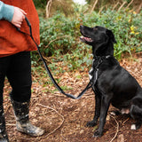 Mountain Paws Stretch Dog Lead #colour_black