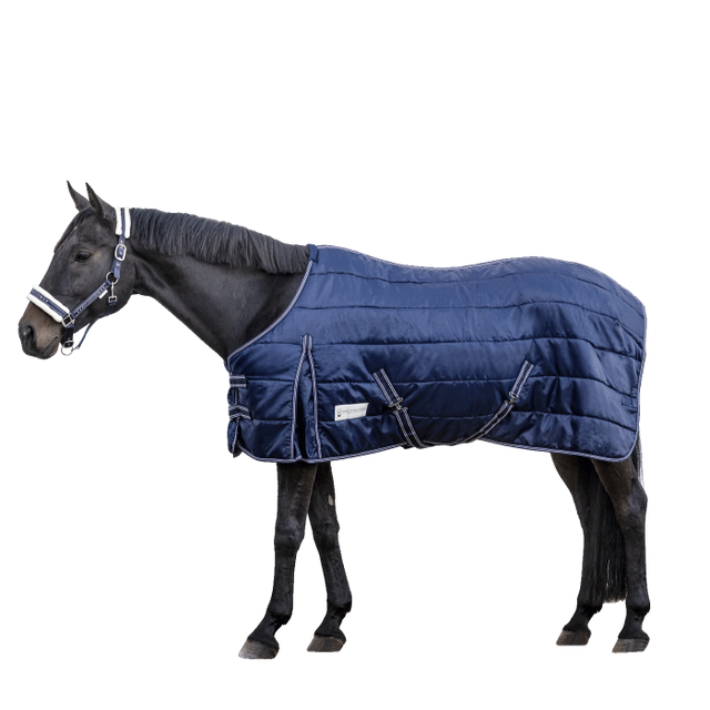 Waldhausen Economic 300g Stable Rug #colour_night-blue