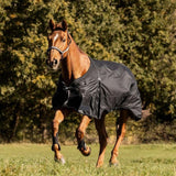 Waldhausen Scandic Light Turnout Rug #colour_black