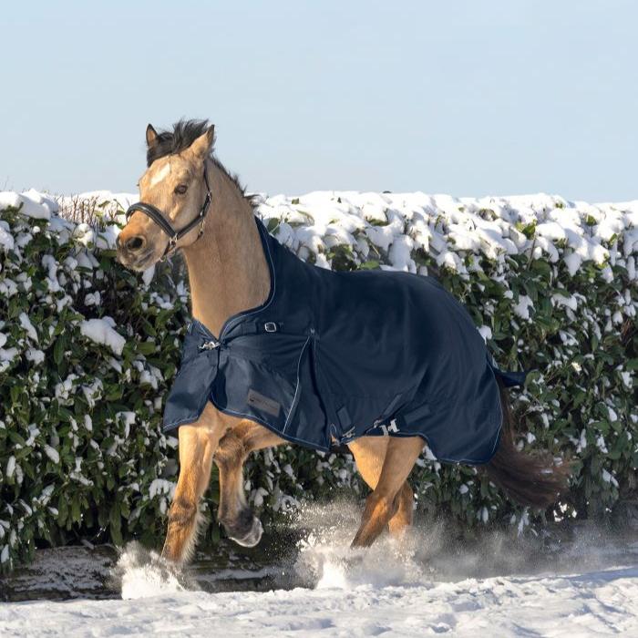 Waldhausen Scandic High Neck 200g Turnout Rug #colour_night-blue