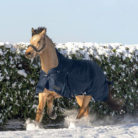 Waldhausen Scandic High Neck 100g Turnout Rug #colour_night-blue