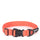 Mountain Paws Extra Tough Dog Collar #colour_orange
