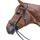 STAR Bitless Bridle #colour_black
