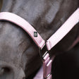 Imperial Riding Rebel Headcollar #colour_ballerina