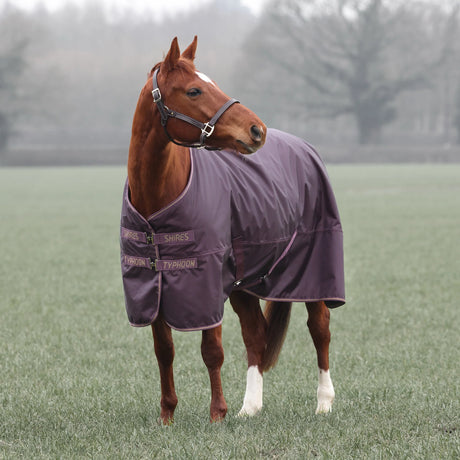 Shires Typhoon 100g Turnout Rug #colour_black-cherry