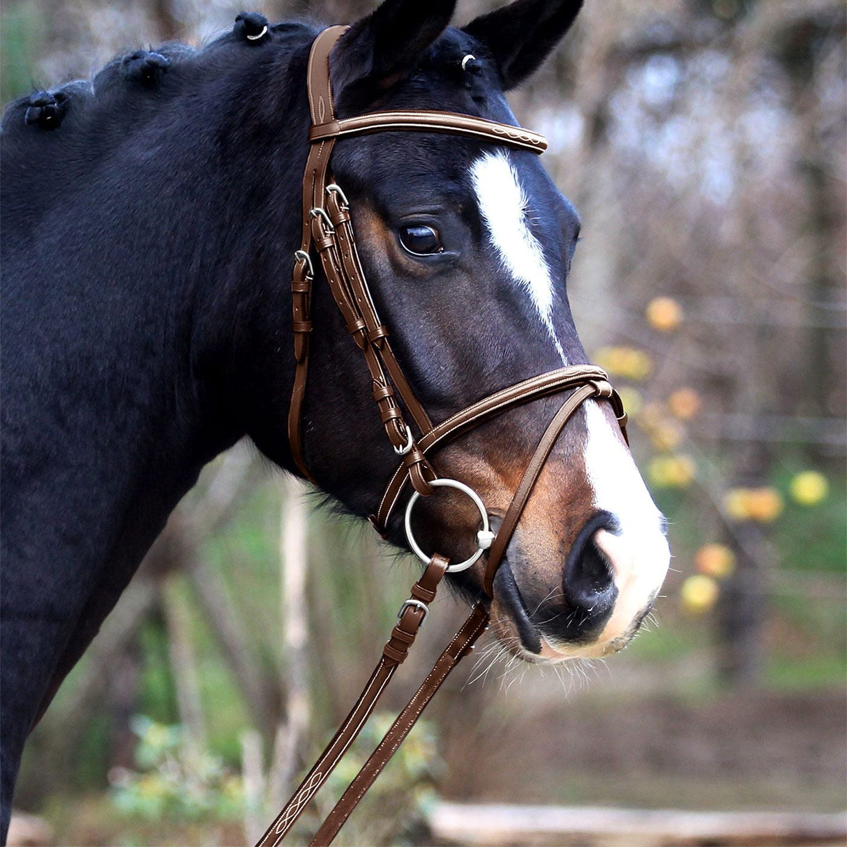 Waldhausen X-Line Bridle Santander #colour_black