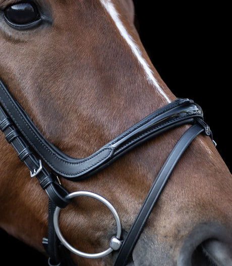 Waldhausen X-Line Bridle Freedom #colour_black