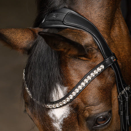 Waldhausen Evermore X-Line Bridle #colour_black-black