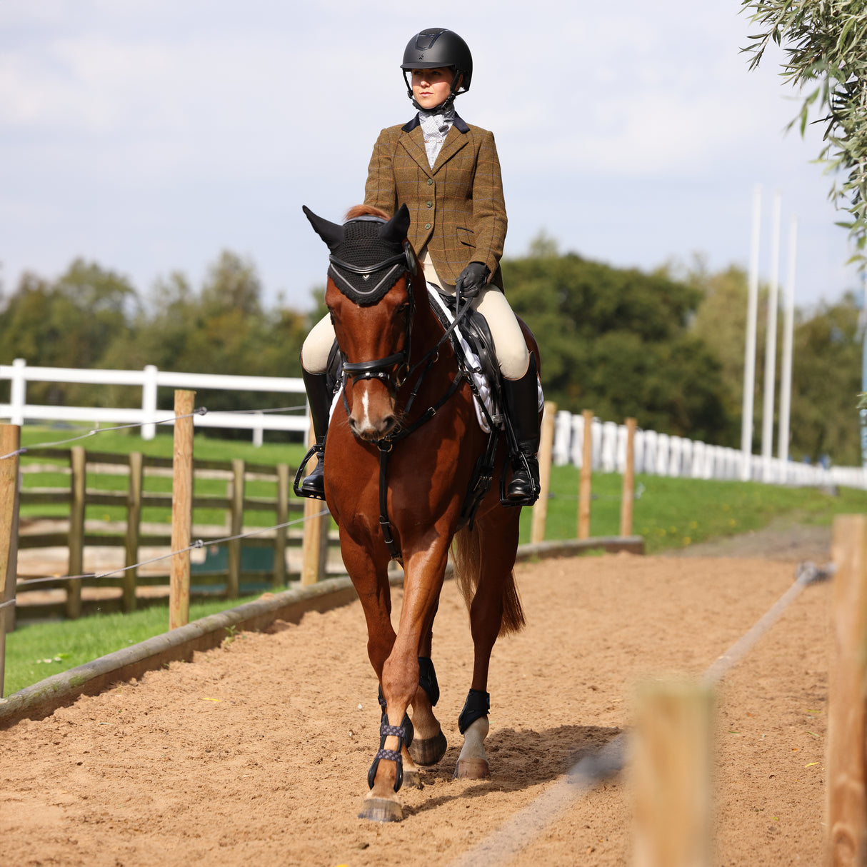 Shires Aubrion Saratoga Ladies Jacket #colour_oak-brown-check