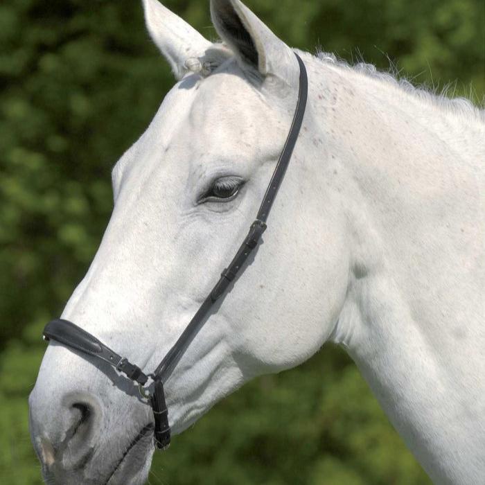 Waldhausen S-Line Drop Adjustable Noseband #colour_black