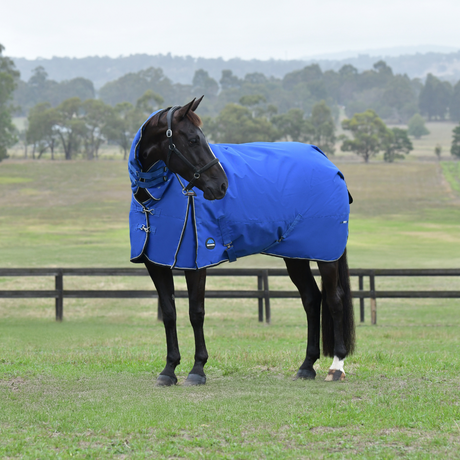 Weatherbeeta Comfitec Essential 220G Combo Turnout #colour_cobalt-black