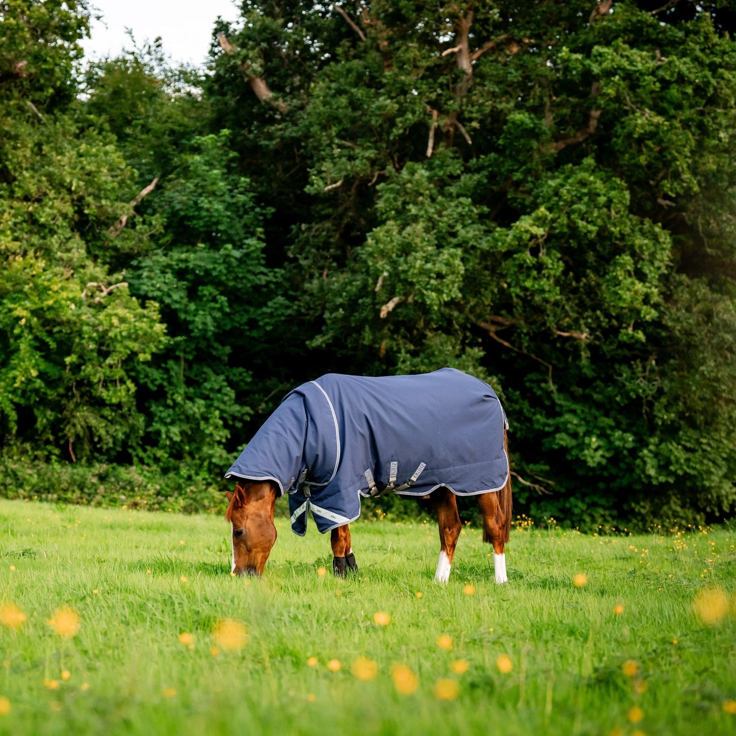 Horseware Ireland Rhino Plus Turnout Lite 100g #colour_navy-titanium-grey-classic-blue