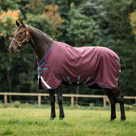 Horseware Ireland Amigo 1200D 100g Turnout Rug