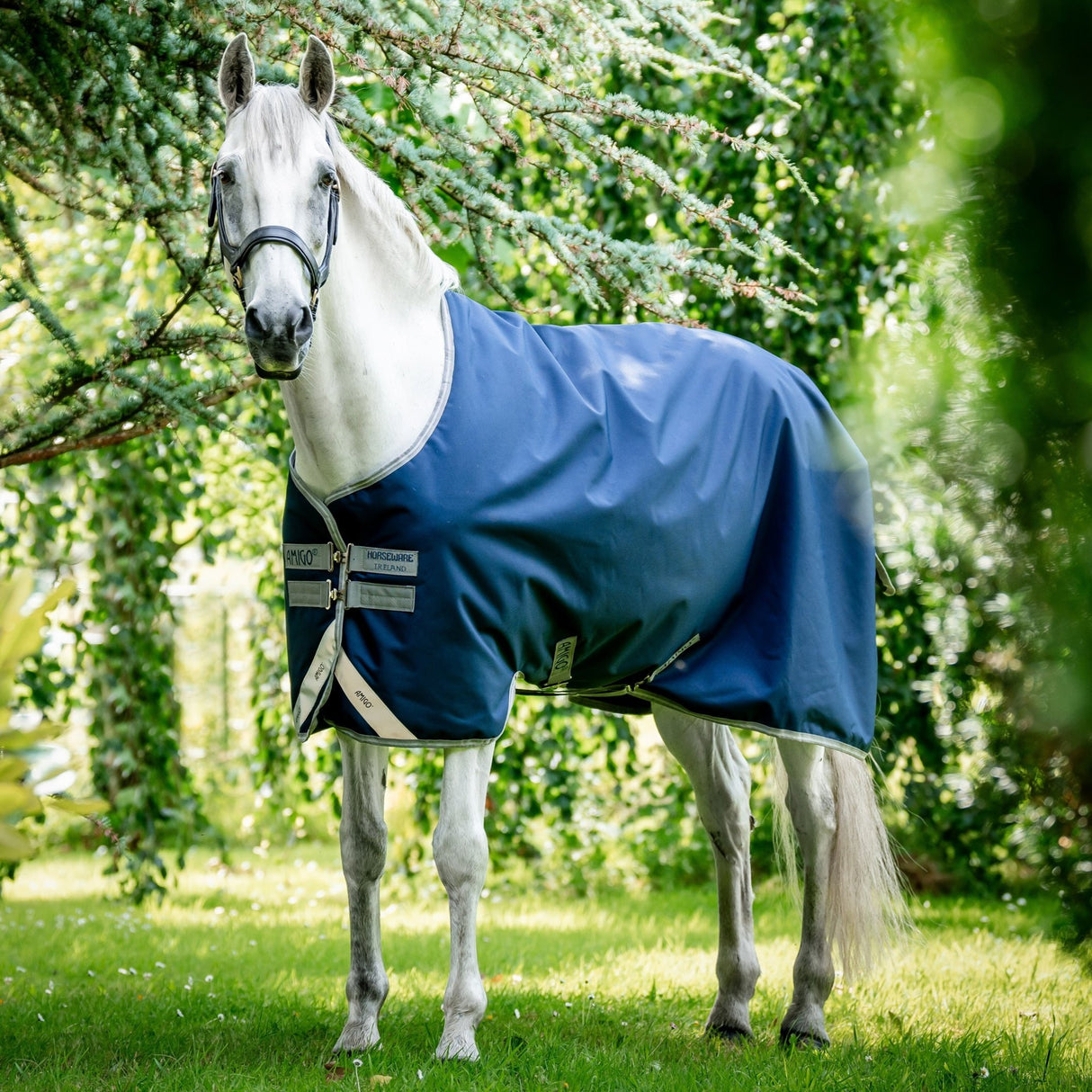 Horseware Ireland Amigo Bravo 12 Original 50g Lite Turnout Rug #colour_navy-titanium-grey-silver