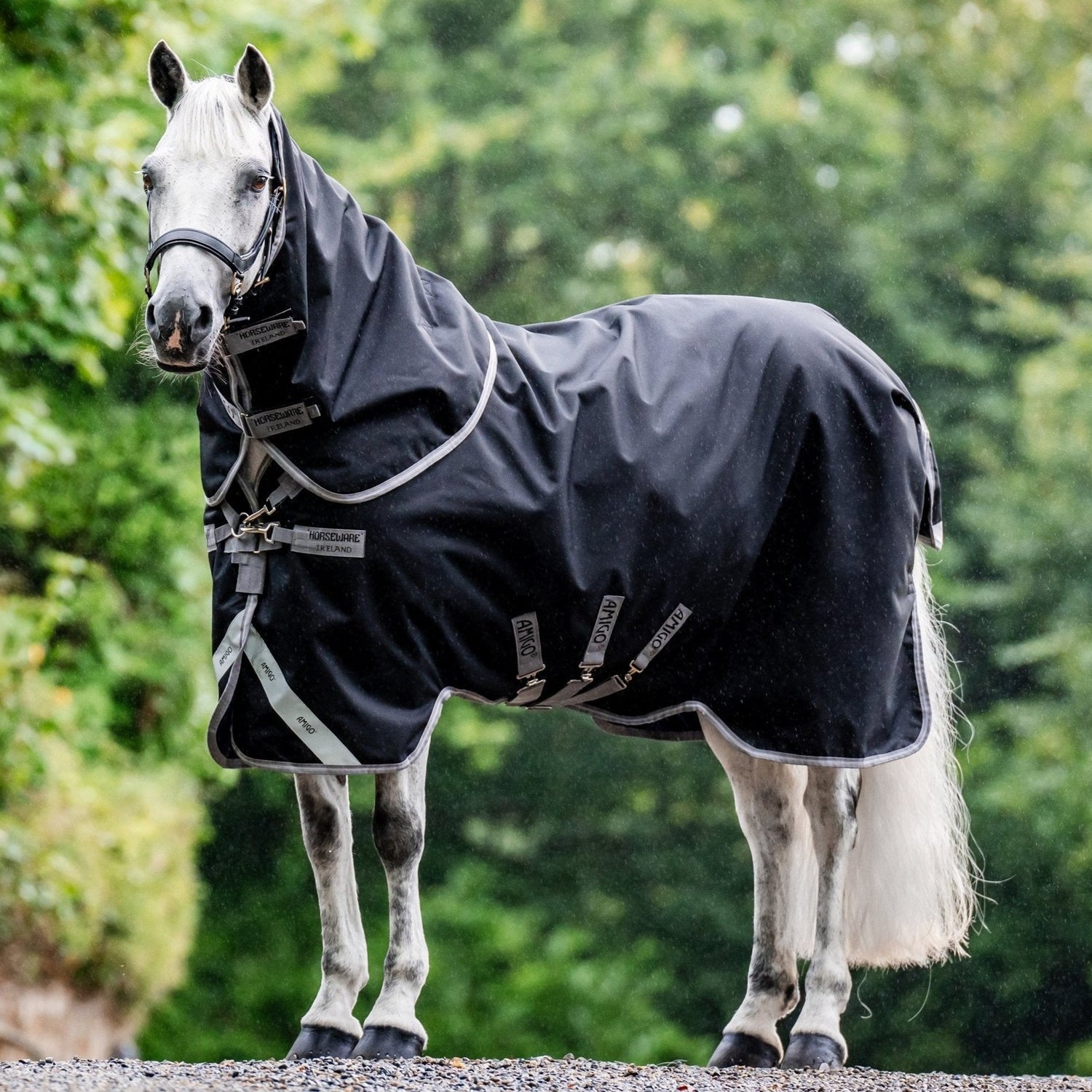 Horseware Ireland Amigo Bravo 12 Plus Bundle V-Front 50g Turnout Rug #colour_black-titanium-grey-silver