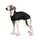 Ancol Muddy Paws Hound Dog Coat #colour_black