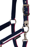 Halter with fleece padding and snap hook