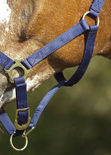 Norton Double Thickness Nylon Headcollar With Buckles #colour_navy-blue