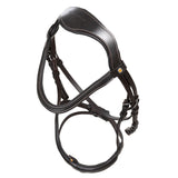 Anatomical bridle with curved noseband