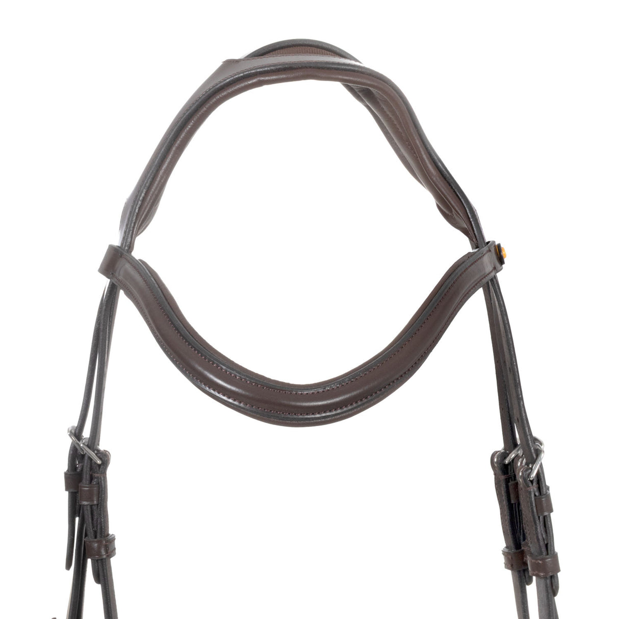 English bridle with anatomical noseband