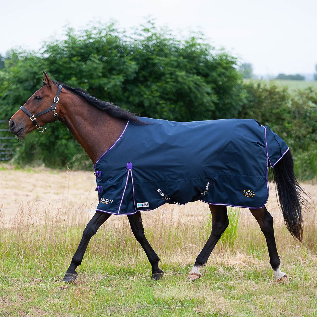 Gallop Trojan Duraproof 5-Point Standard Lightweight Turnout