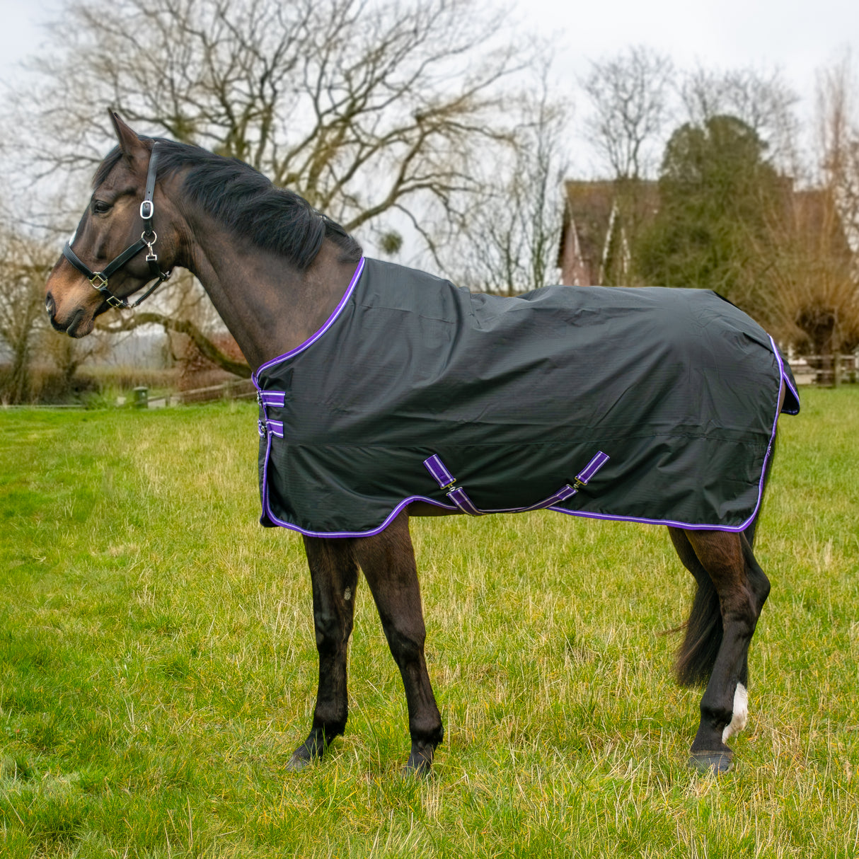 GS Equestrian 600D wasserdichte Weidedecke, 100 g
