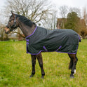 GS Equestrian 600D wasserdichte Weidedecke, 100 g