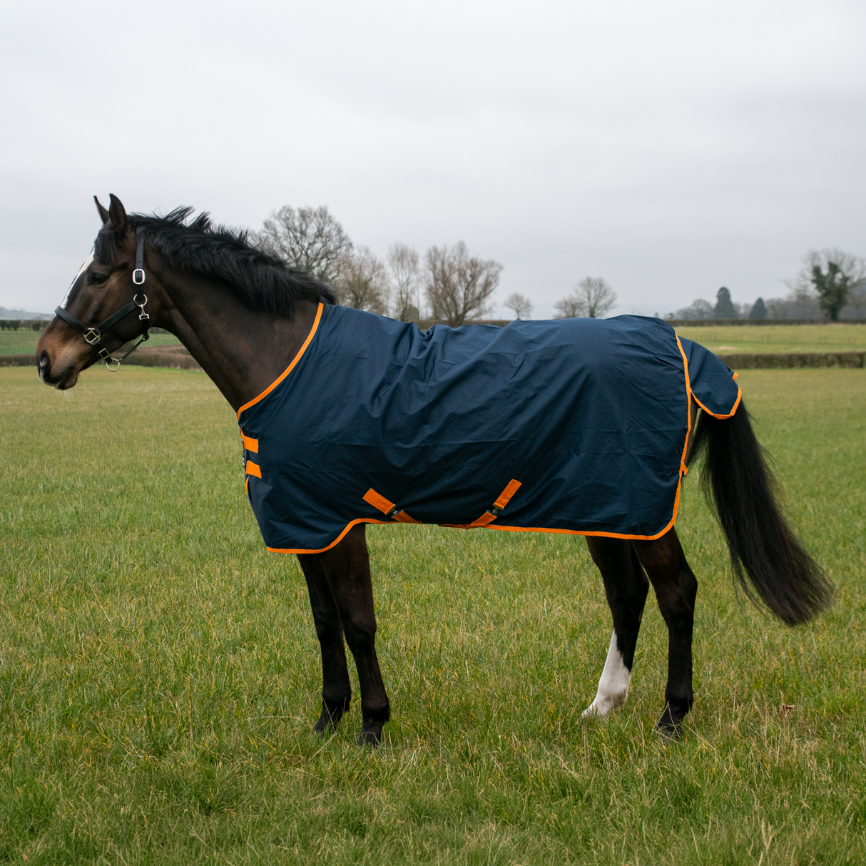 GS Equestrian 600D wasserdichte Weidedecke, 100 g